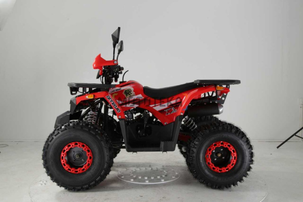 Квадроцикл детский R - MOTO (Р - Мото) Lion 125 AA жёлтый (машинокомплект) | Мототека Квадроцикл детский R - MOTO (Р - Мото) Lion 125 AA жёлтый (машинокомплект) | Мототека