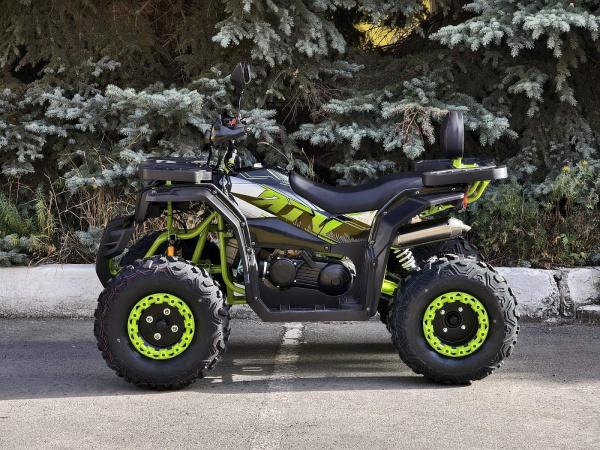 Квадроцикл R - MOTO (Р - Мото) Lion 200 X черный (машинокомплект) | Мототека